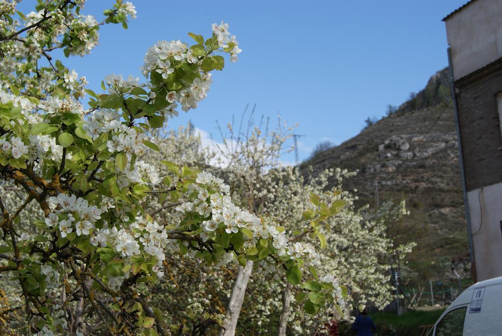 Dulce Encanto Del Valle Valle de Tabladillo Ngoại thất bức ảnh