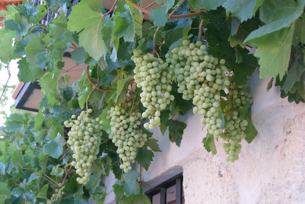 Dulce Encanto Del Valle Valle de Tabladillo Ngoại thất bức ảnh